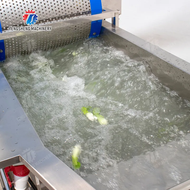 혁신적인 오존 소독 기술