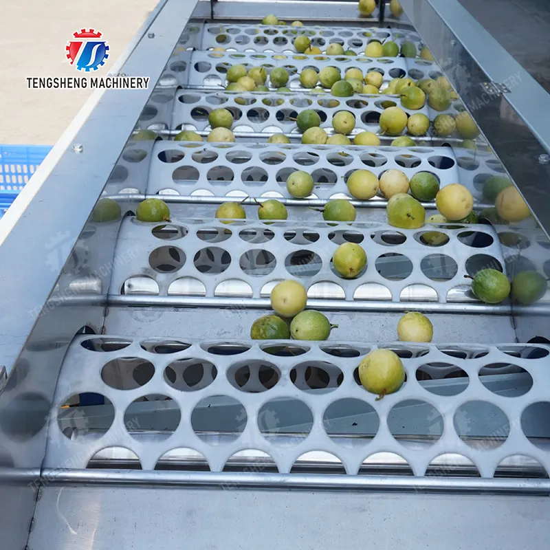 How does a fruit sorting machine work?