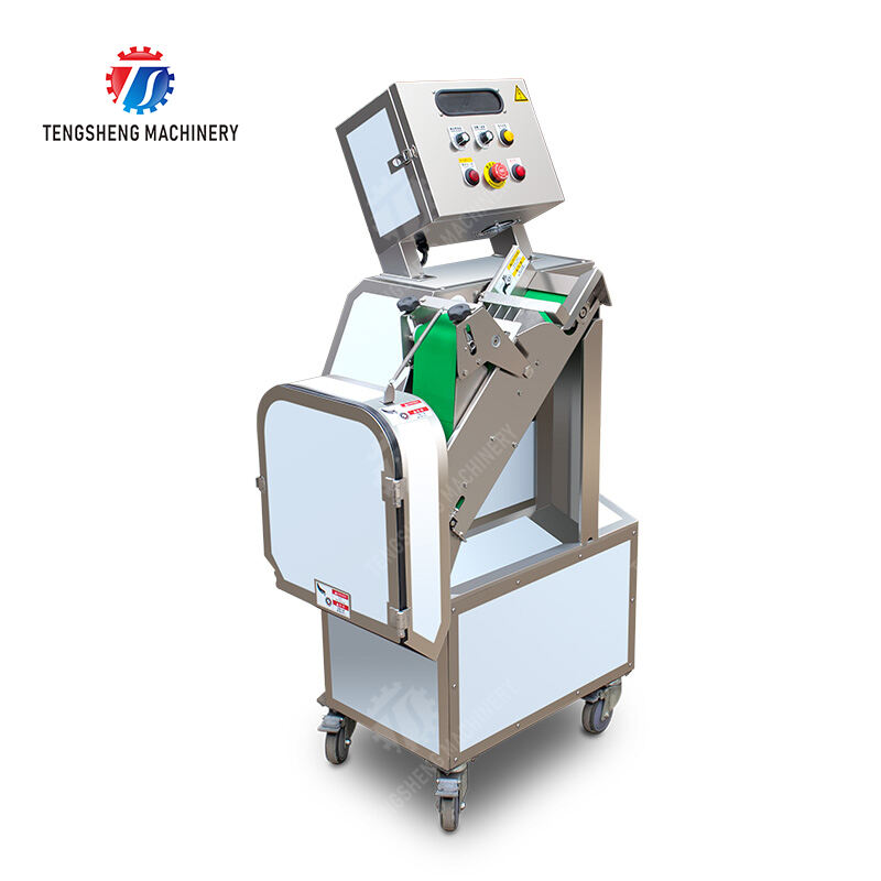 TS-Q323A Oblique Slicer