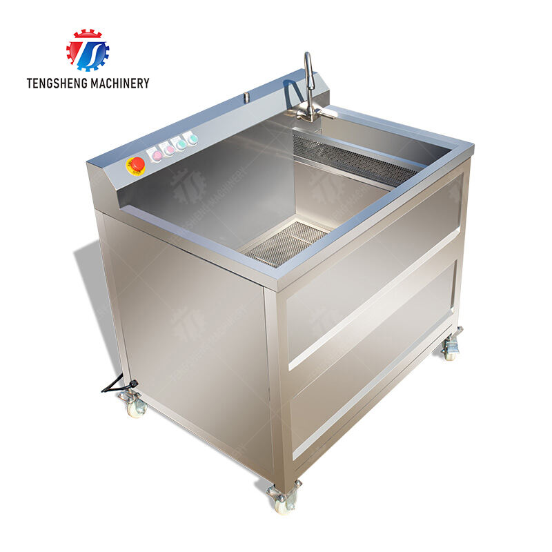 TS-AZ Single-cylinder fruit and vegetable washing machine (with slag separator)
