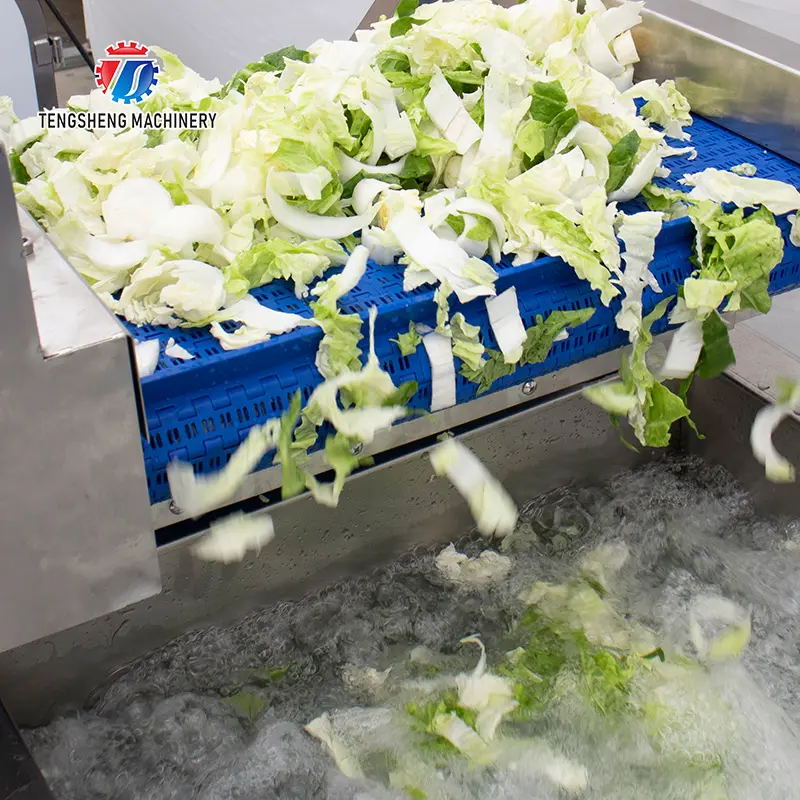 Weiterentwickelte Technologie zur Ozondesinfektion