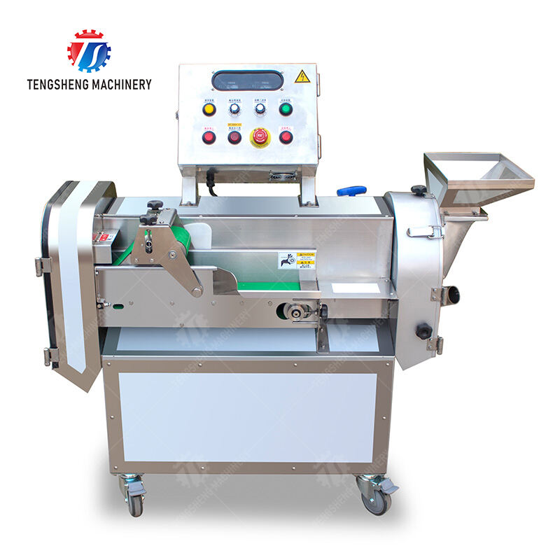 TS-Q118B Double-head vegetable cutting machine