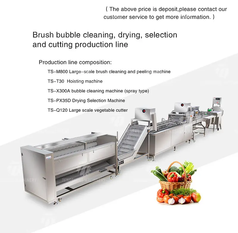 How to choose suitable vegetable processing equipment?