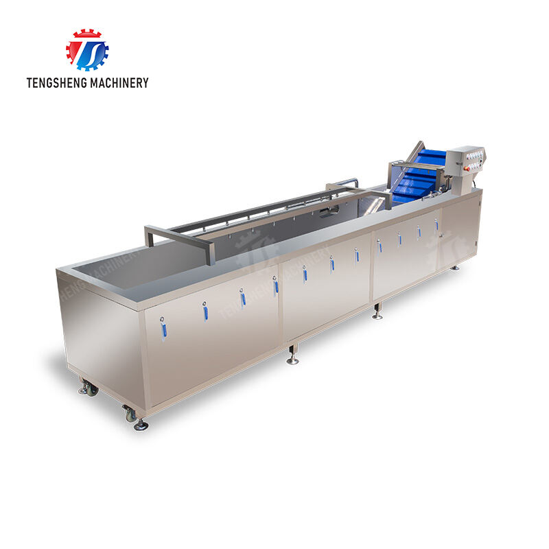 TS-X400D Vegetables bubble washing machine