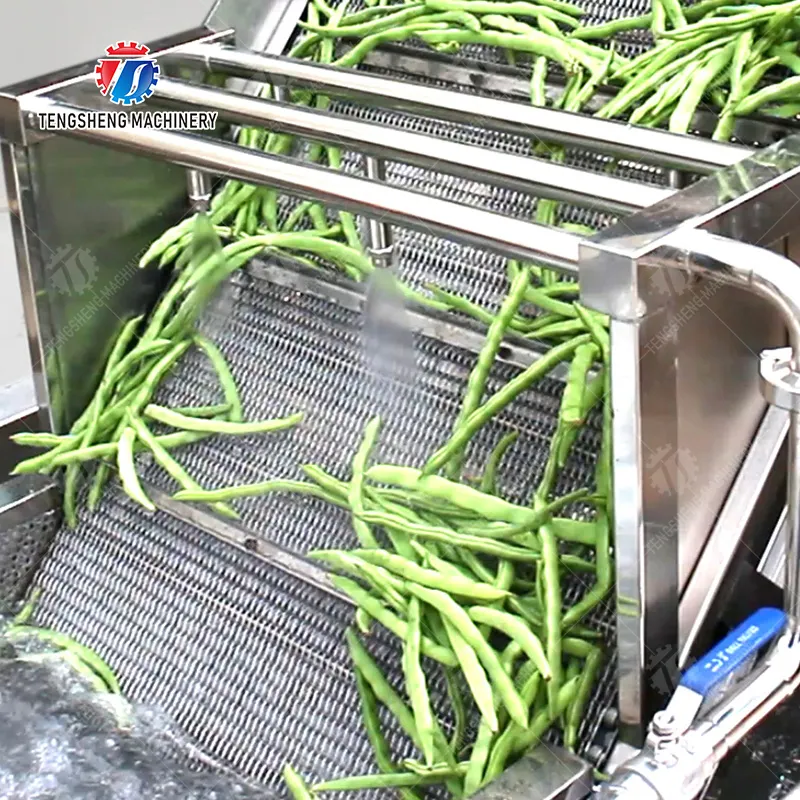 첨단 오존 소독 기술