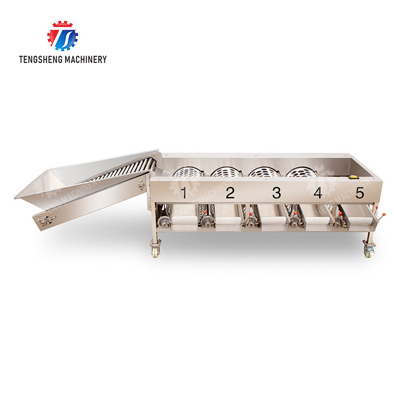 TS-FS450B Fruit and vegetable sorting machine