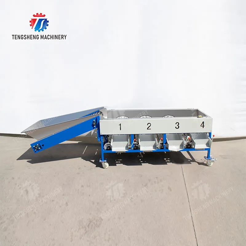 Der ultimative Leitfaden zur Auswahl des richtigen Gemüsewaschers