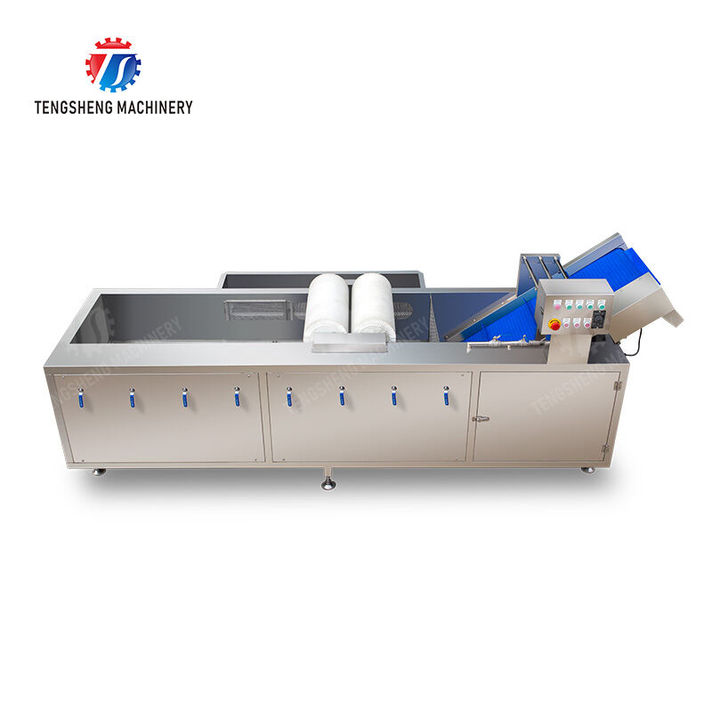 TS-X300M Brush bubble cleaning machine