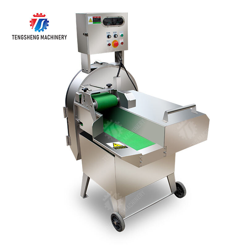 TS-Q120 Large scale vegetable cutter