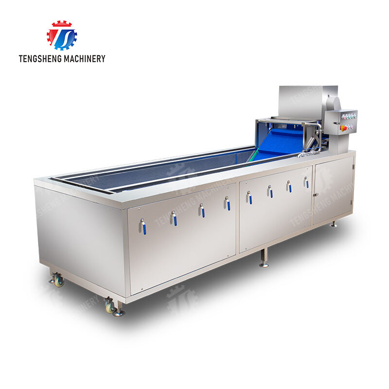 TS-X300D The dish washing machine