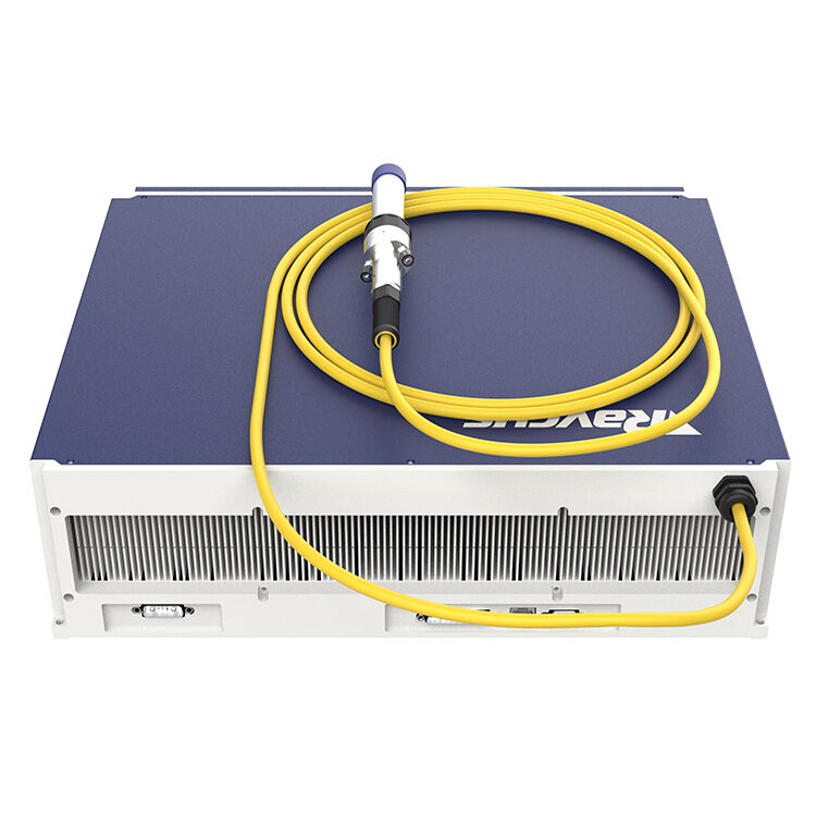 레이커스 레이저 청소용 레이저 소스