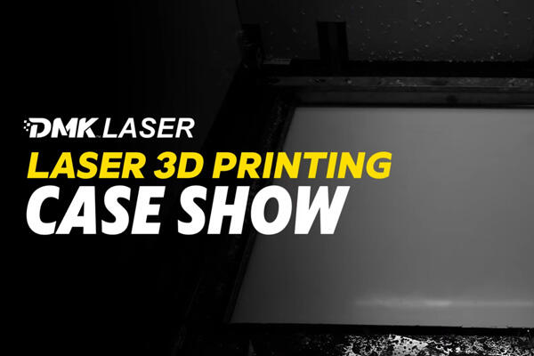 DMK 3D Printing Showcase: Multi-Material Print Results Display