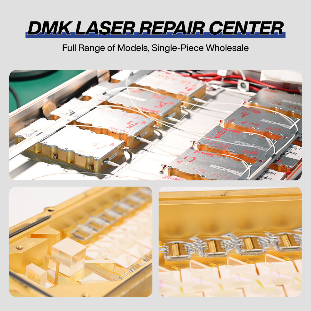 Raycus Laser Pump Sources