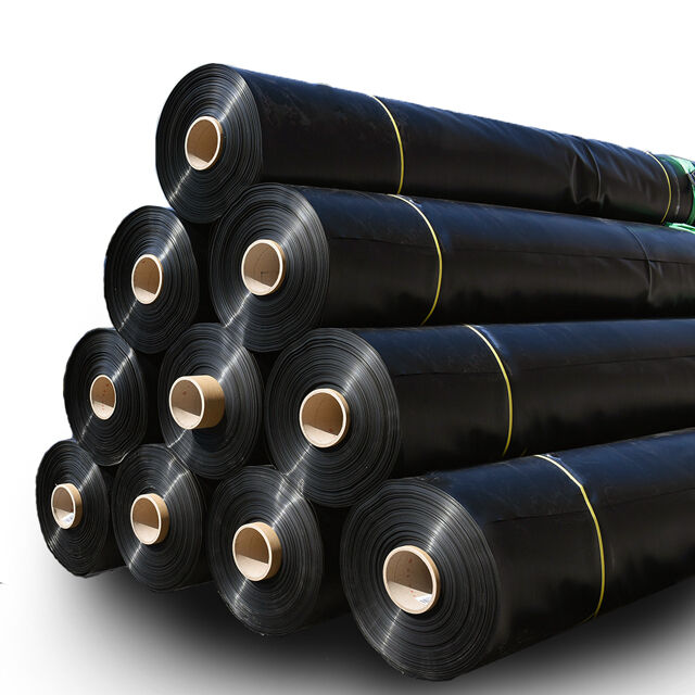What Are the Latest Innovations in Geomembrane Technology?