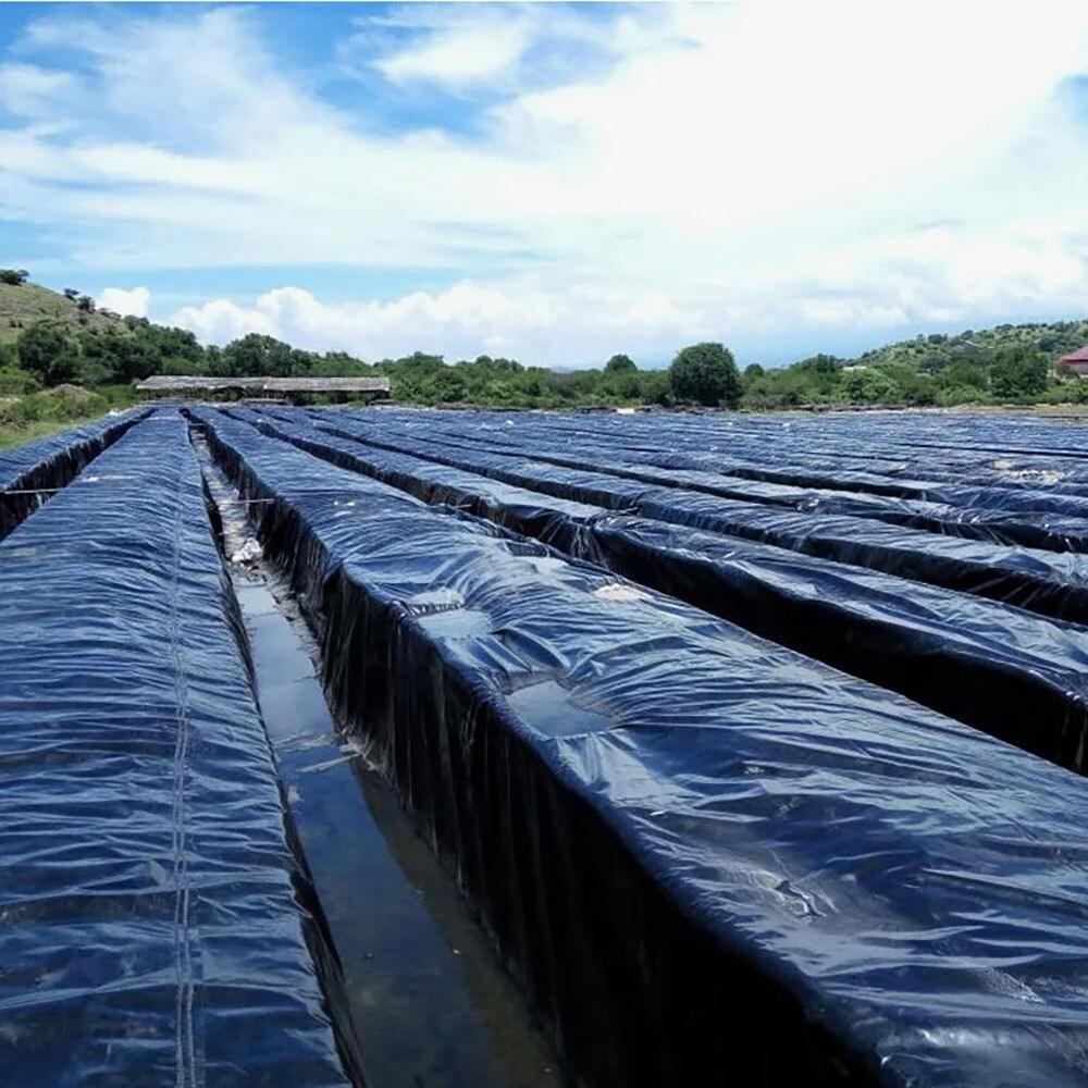 อะไรทำให้แผ่นปูพื้น HDPE เป็นตัวเลือกอันดับต้นๆ สำหรับการปกป้องสิ่งแวดล้อม?