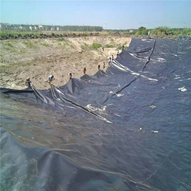 How HDPE Smooth Geomembrane Enhances Environmental Protection Efforts What Are the