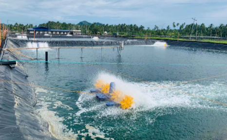 Geomembrane for Shrimp Farm