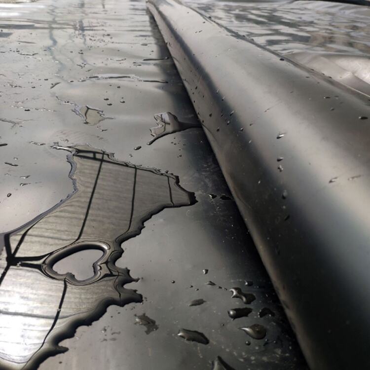 Factory Price Waterproof Smooth Surface Geomembrane for Shrimp Pond Farming Applications