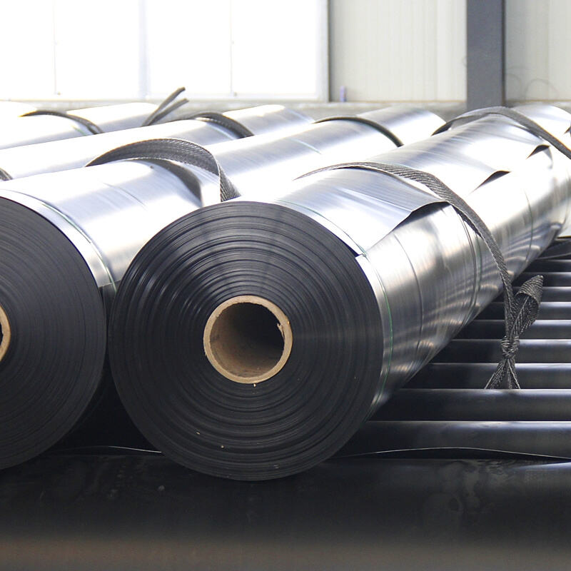 What is a geomembrane