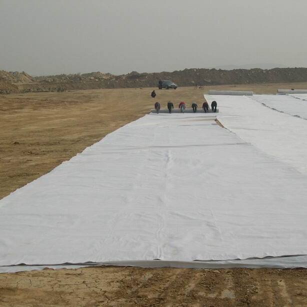 What Makes Geo Fabric a Cost-Effective Solution for Driveway Projects?