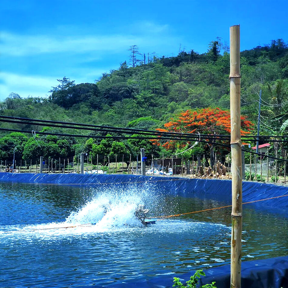 How to Properly Install HDPE Fish Pond Liners for Maximum Durability