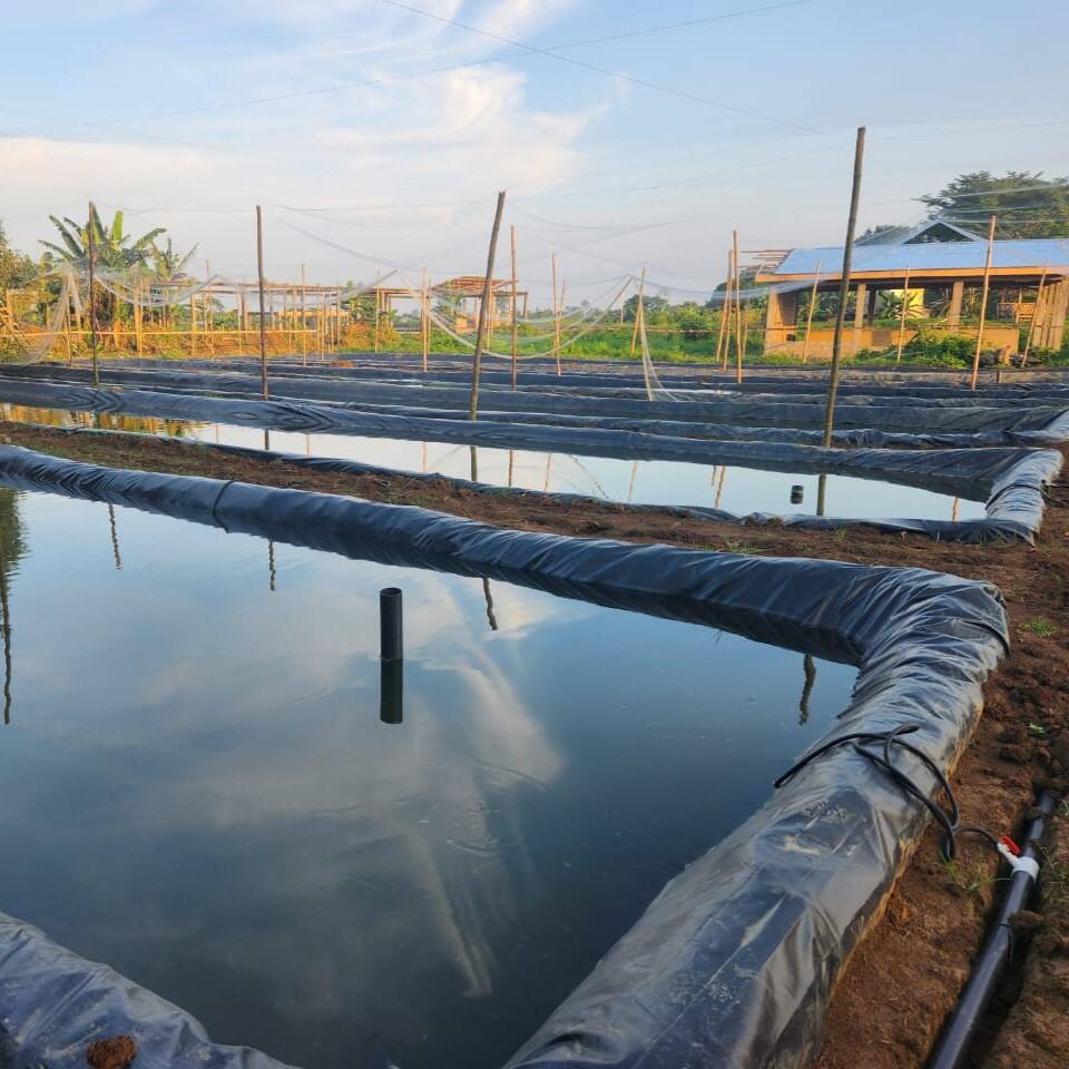 Perché il liner per laghetti in HDPE è la scelta migliore per la protezione ambientale?