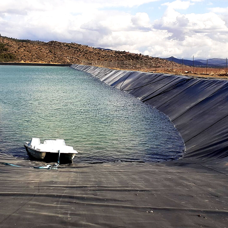 What Common Issues Should You Consider When Using Geomembrane Pond Liners?