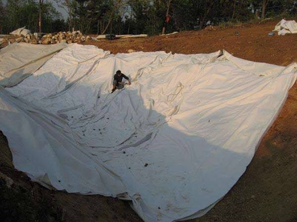 What to Watch Out For