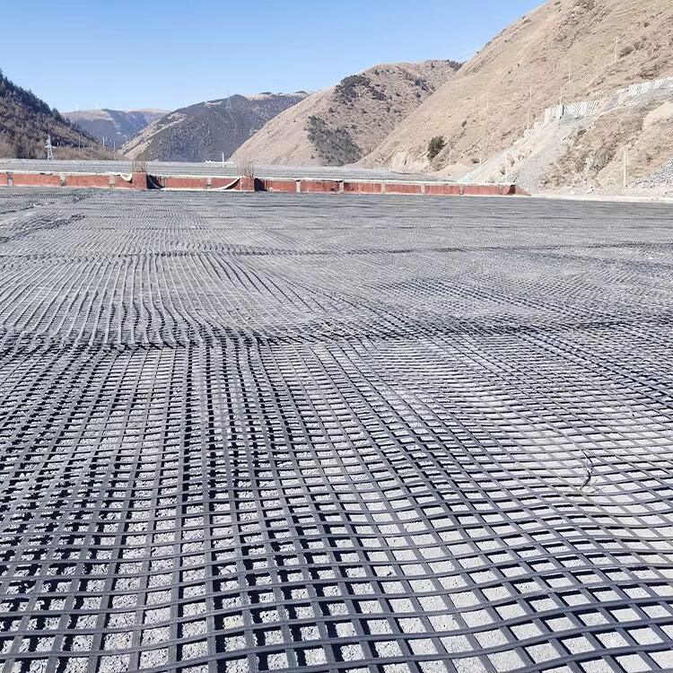 ¿Cuáles son los beneficios de usar georredes en el control de la erosión?