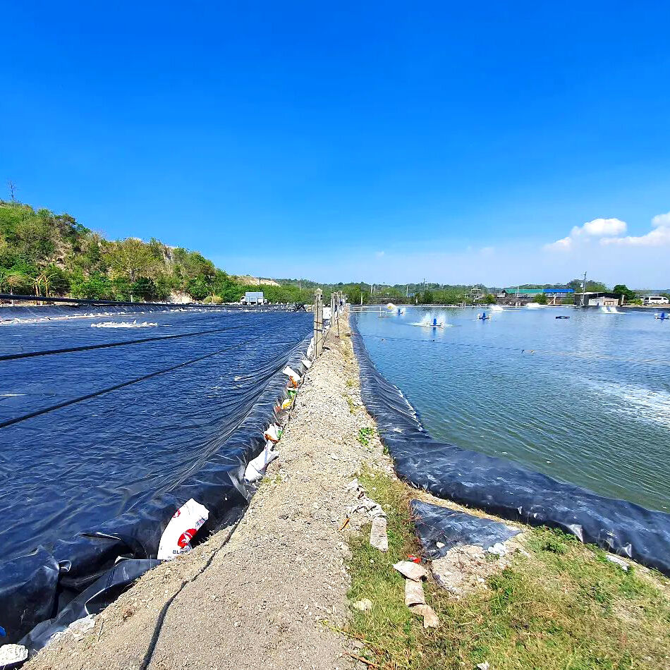 How Geomembrane Pond Liners Can Improve Water Retention and Reduce Leakage