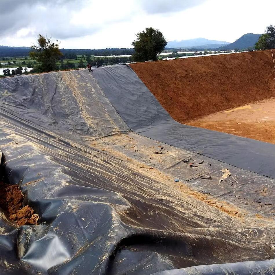 Sidaad ugu dambeeyn ugu hortagto oo ku sameysa in HDPE geomembrane ay ku noqoto xoog leh iyo dhaqameed leh?