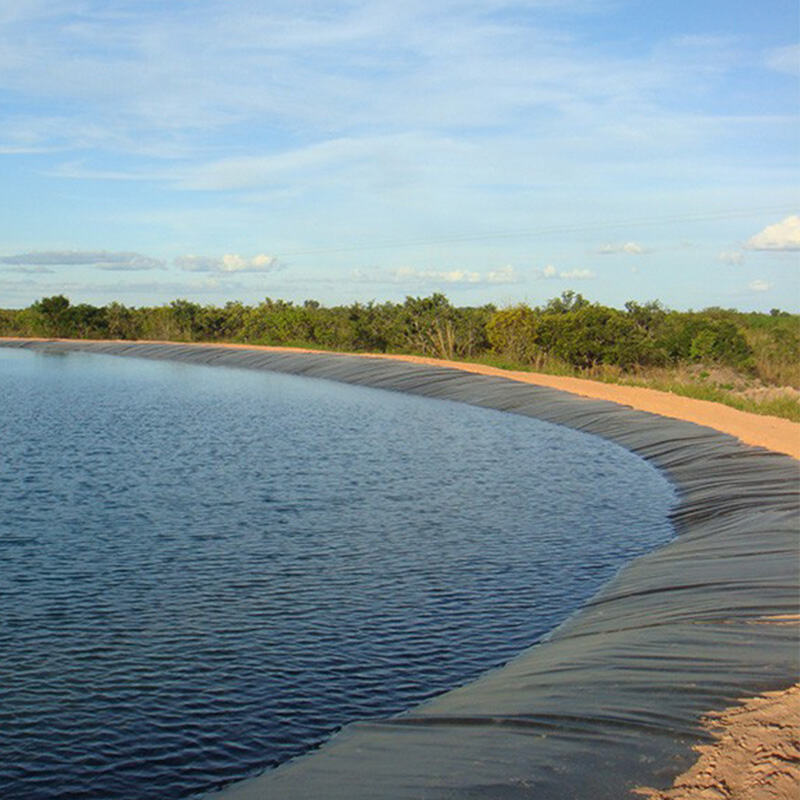 Where to Find Affordable Wholesale Black Pond Liners