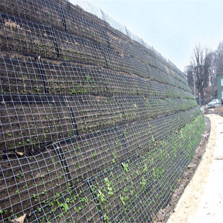 What Makes Geogrid Walls Essential for Modern Construction Projects?