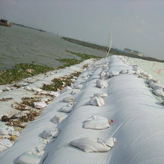 What Makes Geotextile Filters Essential for Erosion Control?