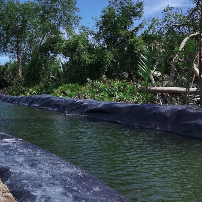 How to Properly Install High Density Polyethylene Pond Liners for Maximum Durability
