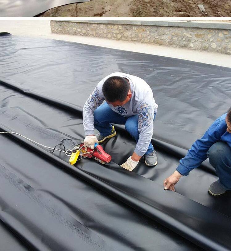 Customized Thickness 0.75mm 1.0mm Sheet for Fish Farm Pond Liner Hdpe Geomembrane