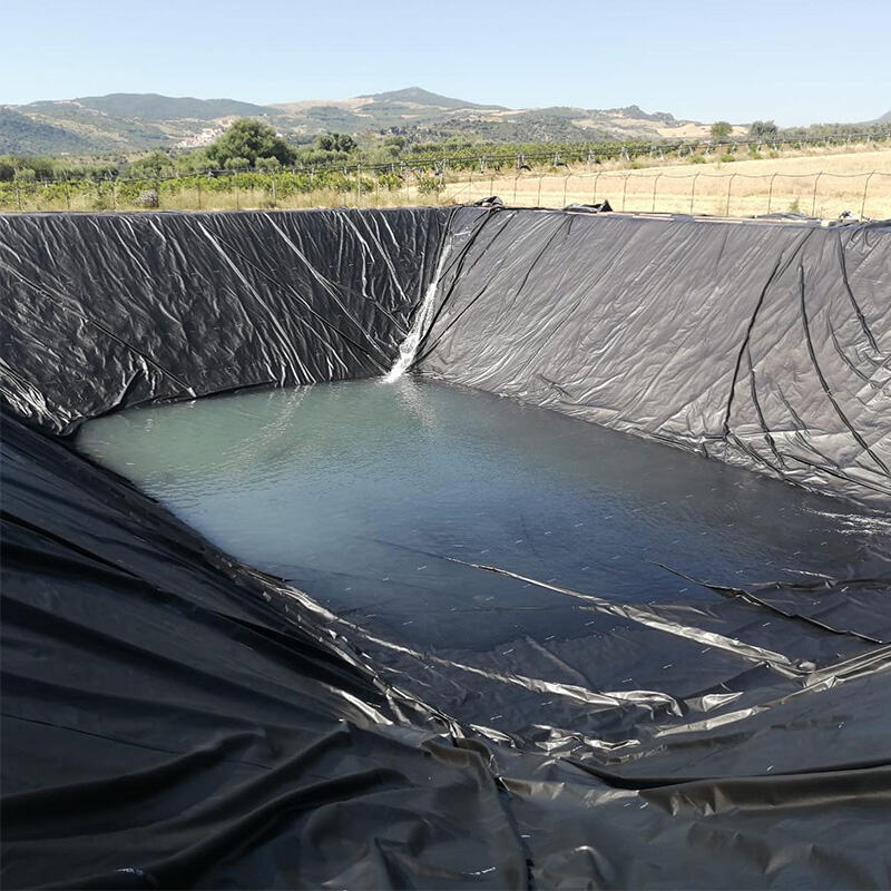 What Common Issues to Avoid When Using Black Pond Liners?