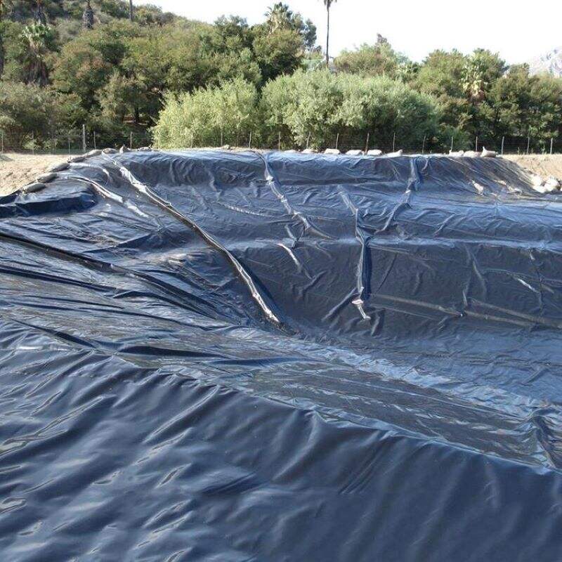 How to Choose the Right Geomembrane for Your Waterproofing Needs