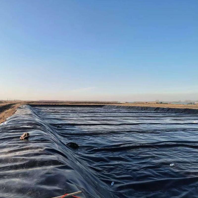 How to Choose the Right Polyethylene Geomembrane for Your Application