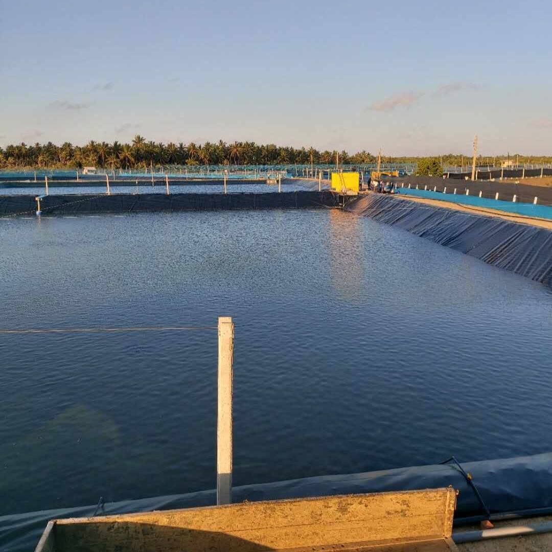 Common Usage Issues with Waterproof Pond Liners and How to Avoid Them