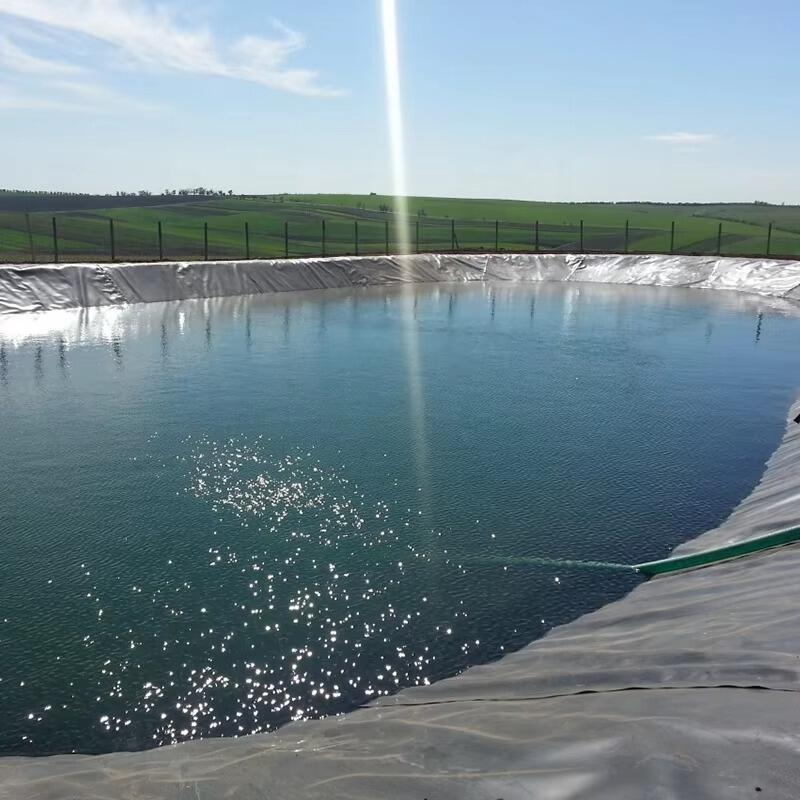 What Are the Common Usage Issues with HDPE Fish Pond Liners?