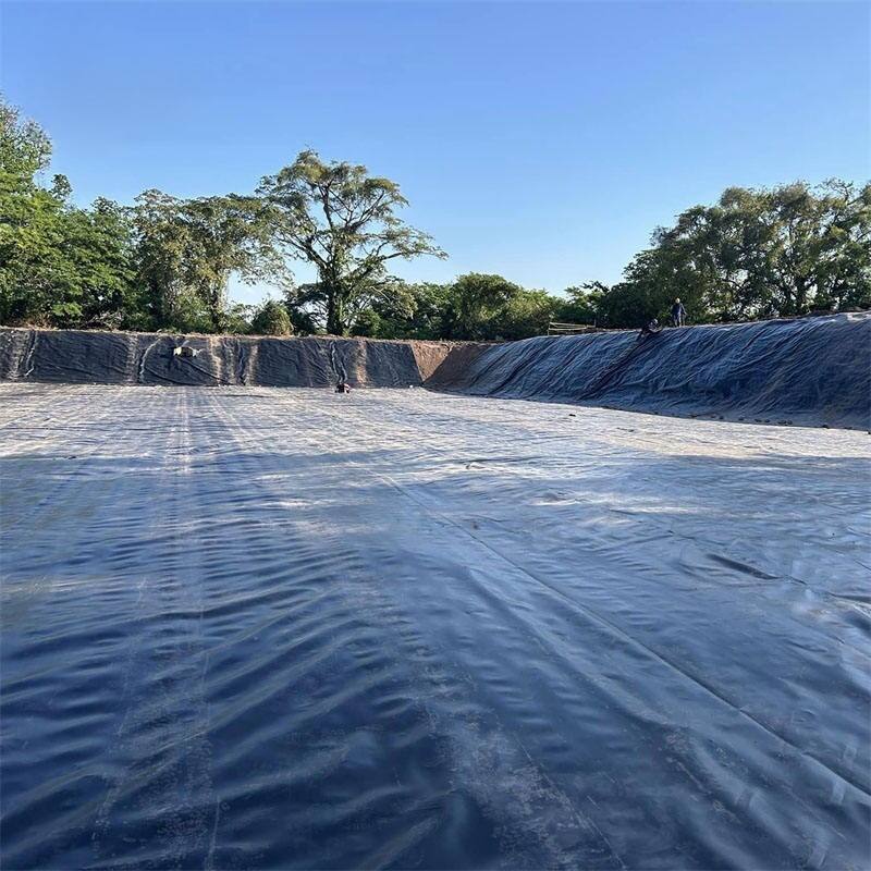 อุตสาหกรรมใดบ้างที่พึ่งพาแผ่นปูพื้น HDPE เพื่อประสิทธิภาพสูงสุด?
