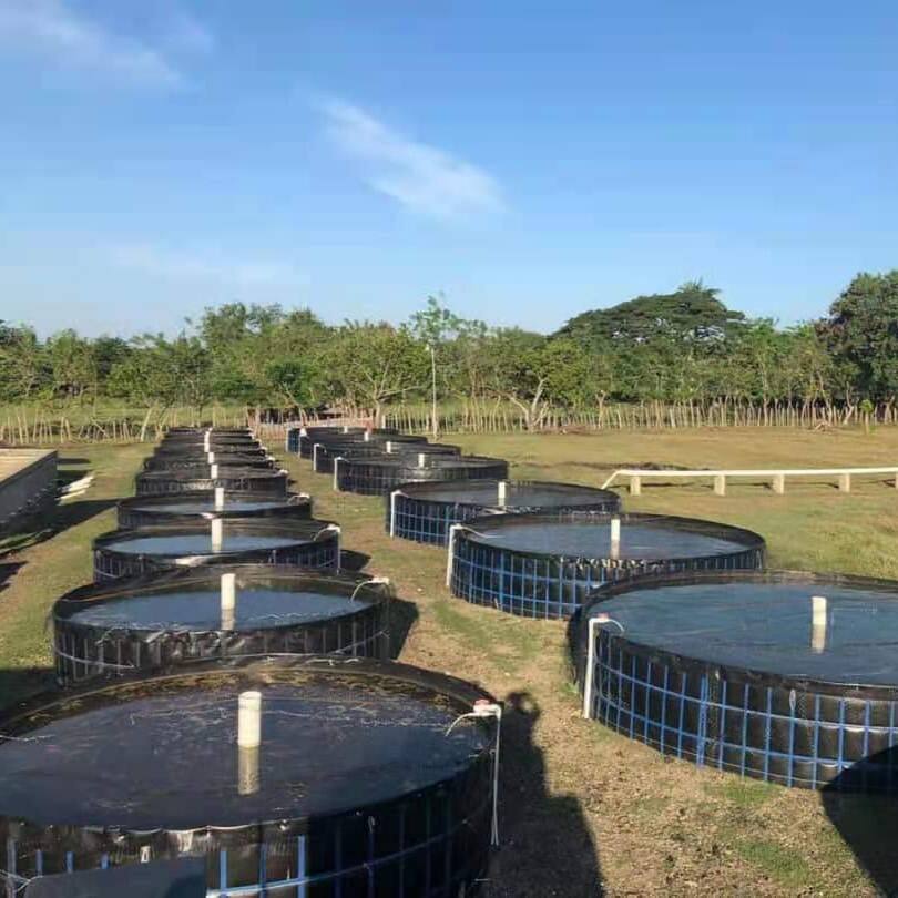 Perché l'HDPE è la scelta migliore per i rivestimenti di serbatoi dell'acqua?