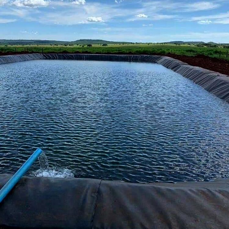 What Are the Latest Innovations in HDPE Fish Pond Liner Technology?