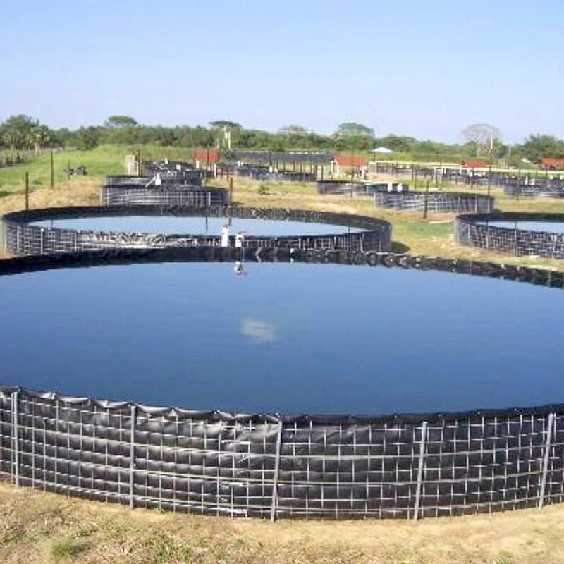 How Geomembrane Tanks Enhance Environmental Protection in Agriculture