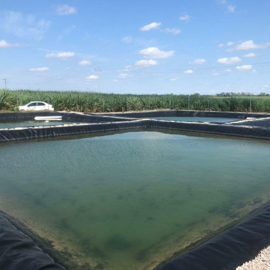How High Density Polyethylene Pond Liners Solve Common Pond Usage Issues