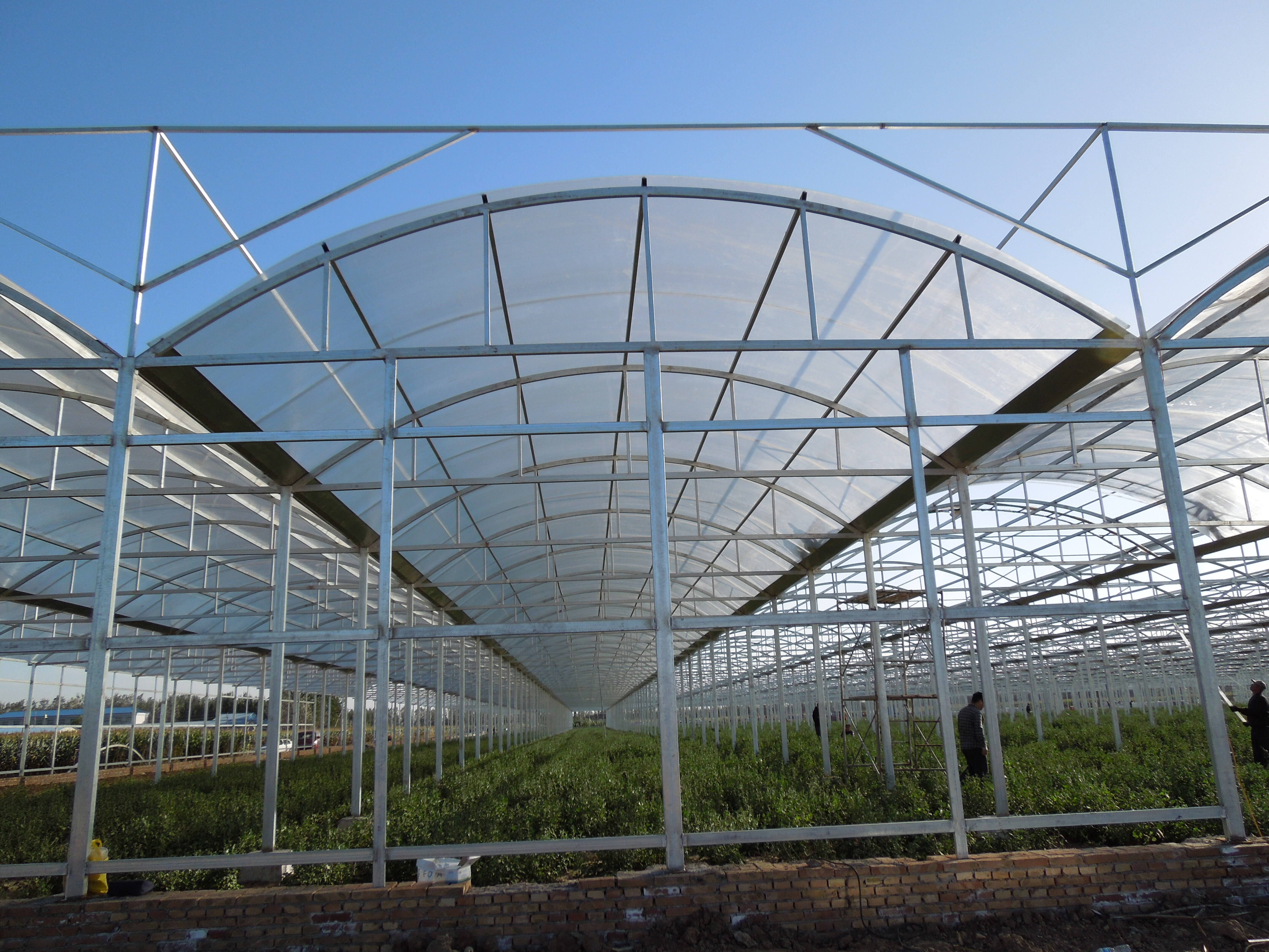 Maintenance of Polycarbonate Greenhouse: Cleaning and Repair Tips
