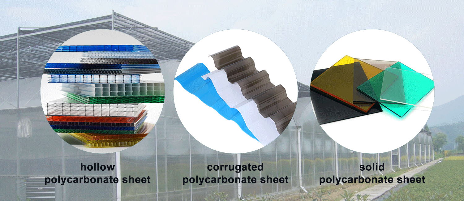 PC Sheet Industry Booms in 2026: Sinhai Recruits Global Suppliers to Expand the Market Together