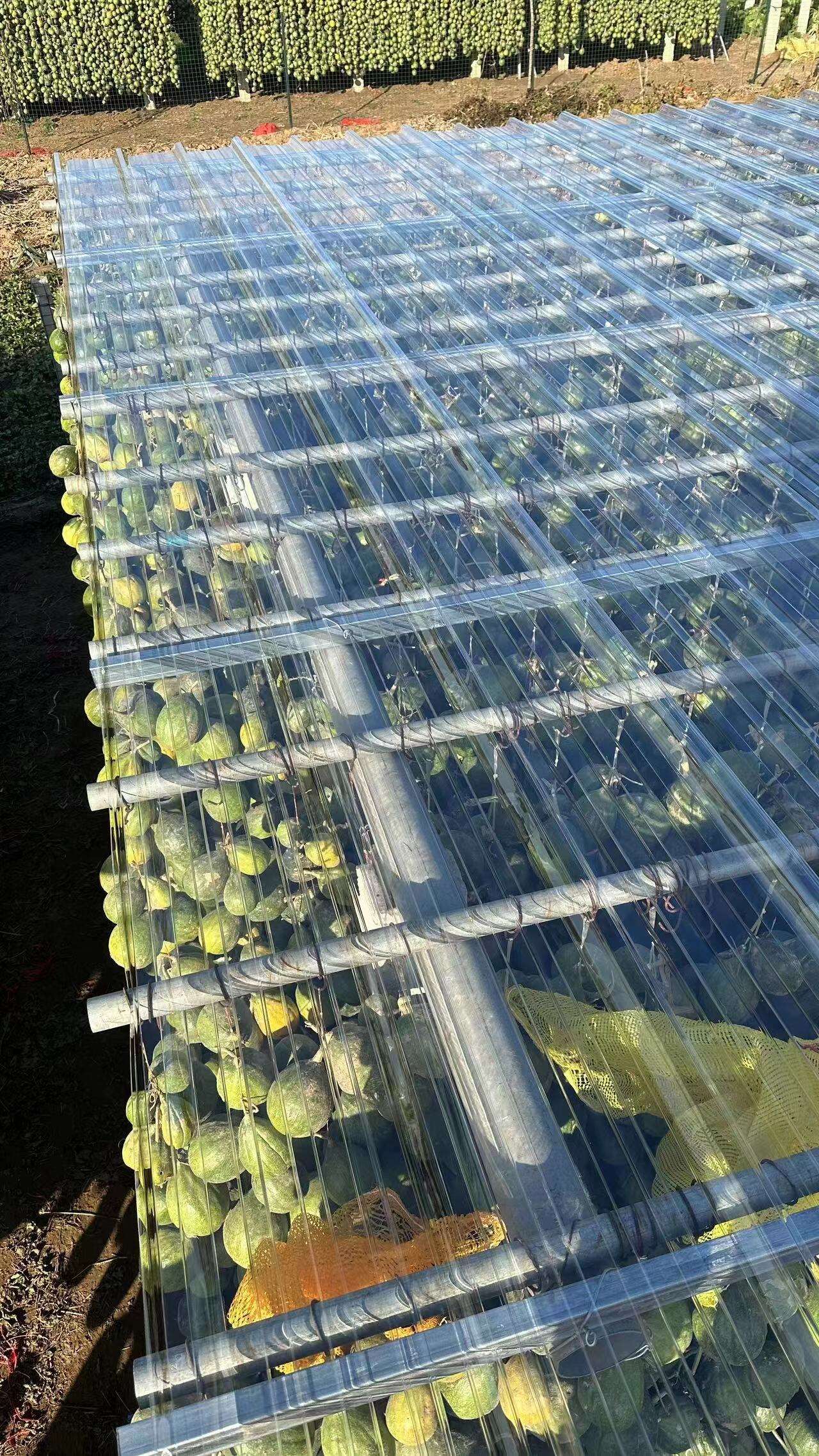 Cómo elegir la hoja de techo de policarbonato adecuada para tu proyecto