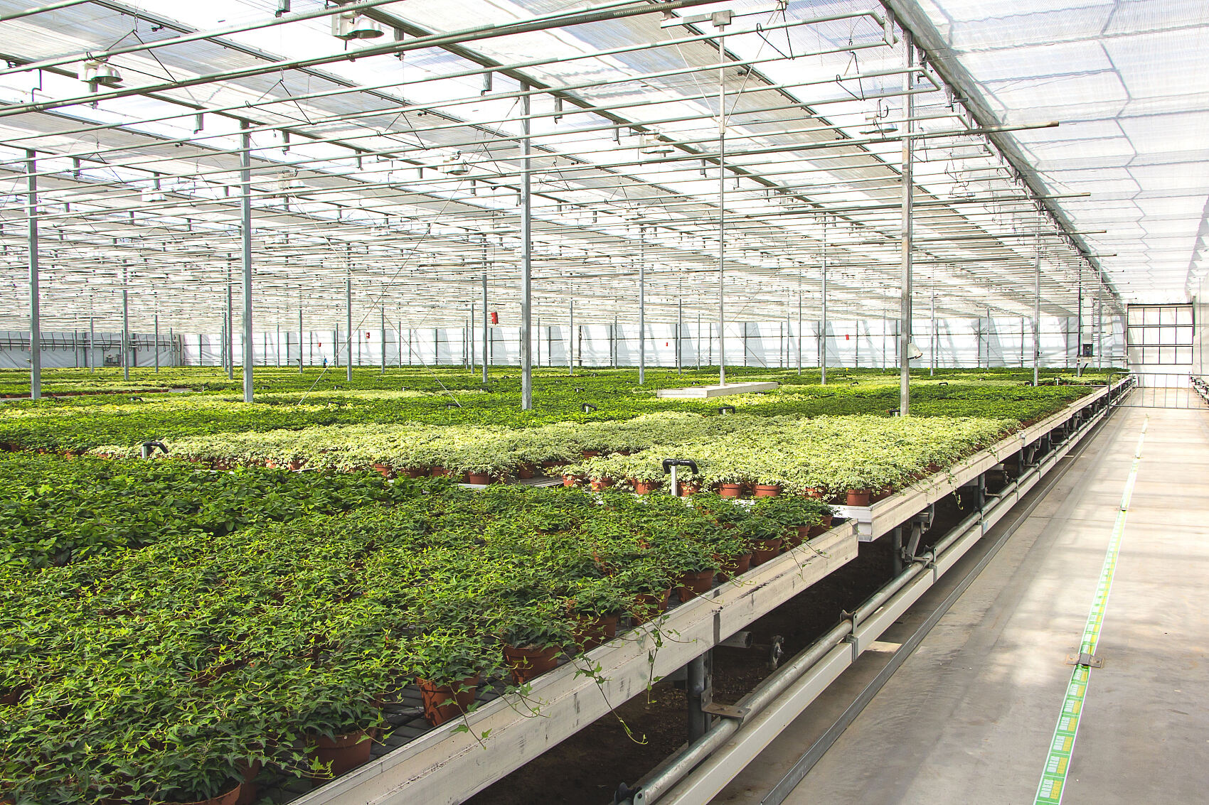 Agricultural Photovoltaic Model Explodes: Xinhai Sunlight Board Manufacturing Co., Ltd. Leads in Solar-Plus-Agriculture New Track